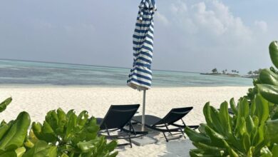 Luxury Cheap International Flights Deals: Unbeatable Deals For Travelers